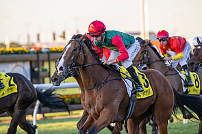 Juan Diva - Raced by Brent, Cherry & Faith Taylor