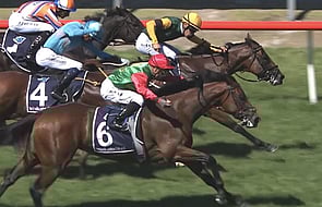 Petrucci - Race by Brent, Cherry & Faith Taylor