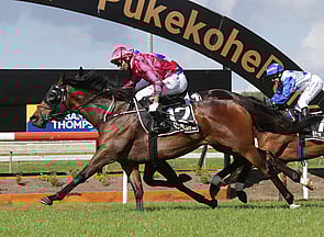 Seajetz - Bred & sold by Trelawney stud