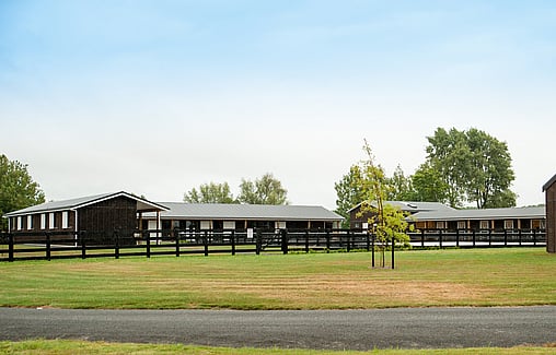 Waikato Veterinary Centre