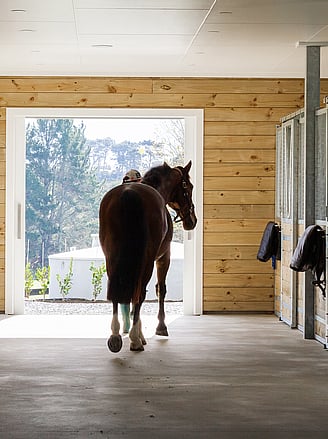 Newbury stables by Harrison Lane 