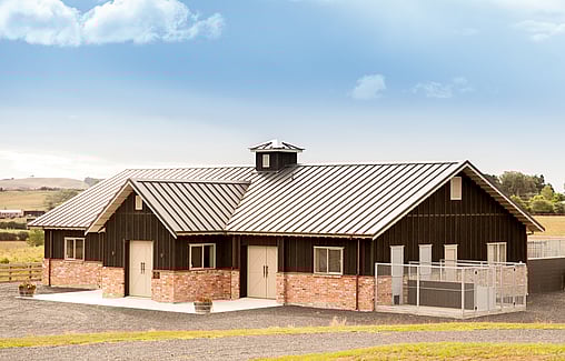 Pakuranga Hunt Kennels - Harrison Lane