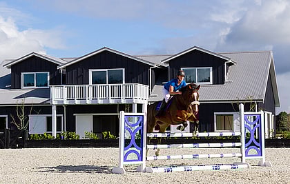 Horse and rider jumping in a free draining arena in front of a barn and stables