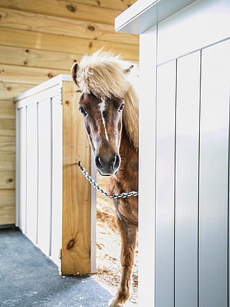 Goodwood Barn by Harrison Lane