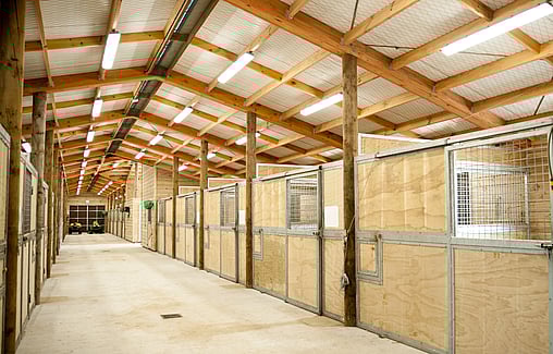 Waikato Veterinary Centre by Harrison Lane