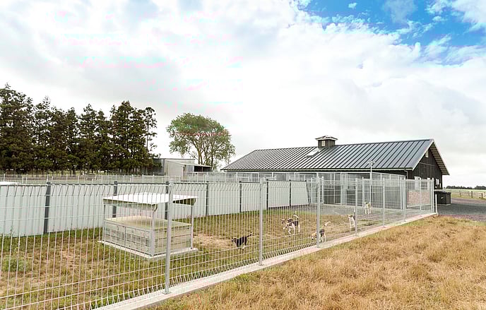 Pakuranga Hunt Kennels