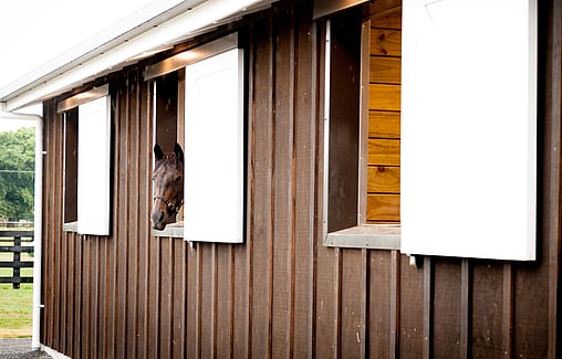 Waikato Equestrian Veterinary Centre