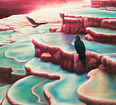 PINK & WHITE TERRACES