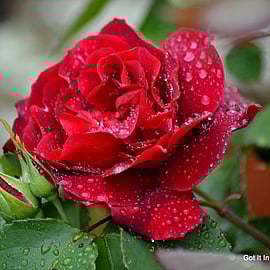 Jan, trial participant for Breast Cancer Research