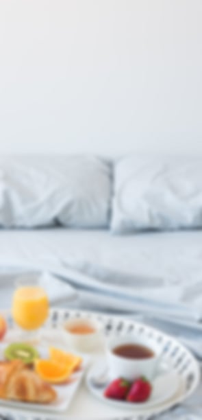 To secure your boutique bed and breakfast suite book online or call us on +64 21 320038