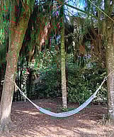Gabriel Rojo - Apprentice Carpenter at Camako Builders Queenstown.