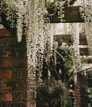 Magical Gardens - Stunning photo locations