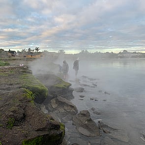 Community - We connect communities with data. We help you make sense of existing data and bring that data to life, for better decision making, greater knowledge and to promote data equity. Enabling the use of mātauranga Māori by mana whenua in the management of te taiao.