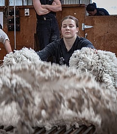 FINEWOOL WOOLHANDLING