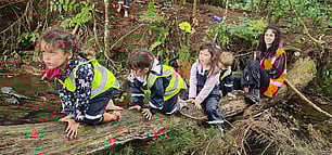 Quality Expert Childcare Teachers