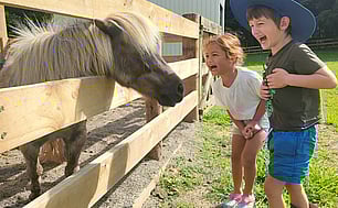 Learning alongside other creatures | Early Learning Centre Cambridge