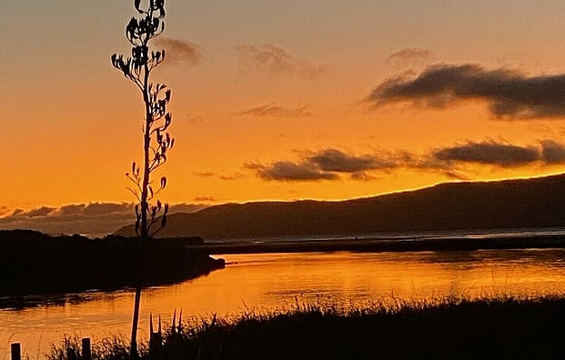 Kapiti Island - Day trip from $159