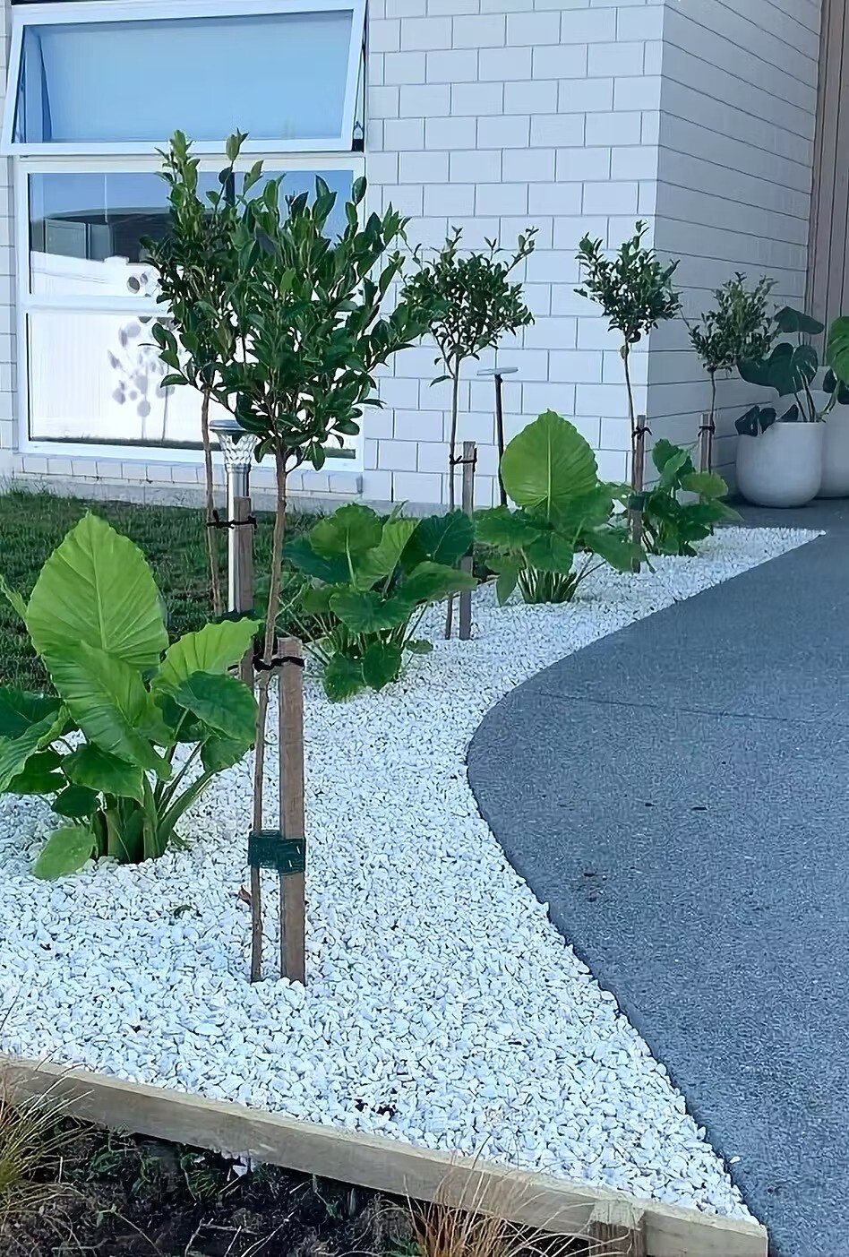 build planting | Terra Landscapes