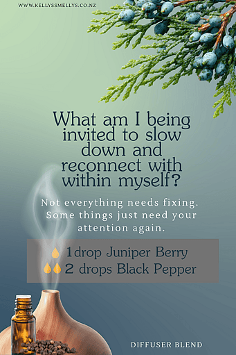 Black Pepper Essential Oil and Juniper Berry Essential Oil Diffuser Blend with an image of a diffuser, essential oil bottle, juniper branch and black peppercorns on a slate background