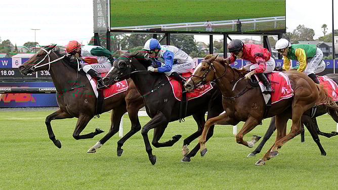 La Diem winning at Ellerslie. - Photo: Kenton Wright (Race Images)