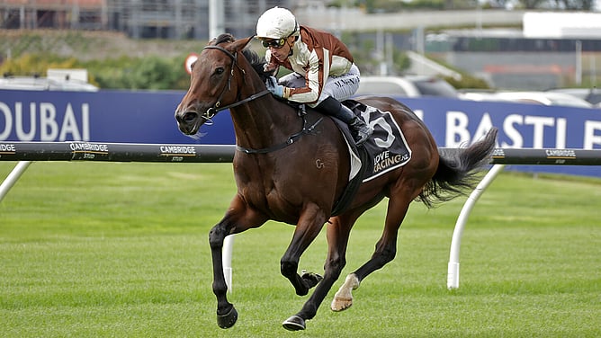 Levakia winning at Ellerslie. - Photo: Kenton Wright (Race Images)