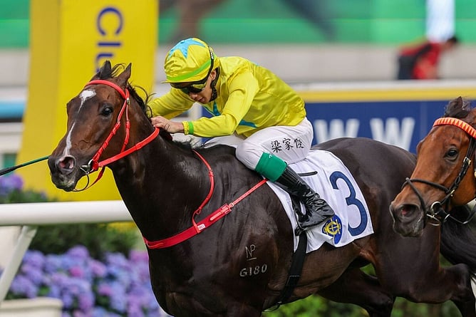 Lucky Sweynesse winning the Gr.2 Chairman's Trophy at Sha Tin on Monday. -  Photo: Hong Kong Jockey Club