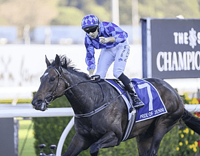 Pride Of Jenni to line up against mares at Royal Randwick on Day 2 of The Championships
