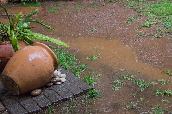 flood in garden area