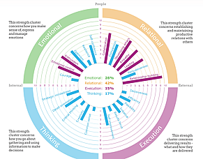 What ten years of Strengthscope has taught me about myself