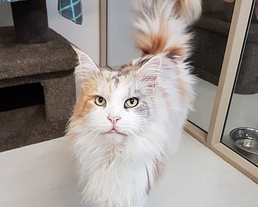 Calm and temperature controlled units at Keepin Katz