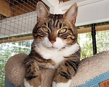 Individual outdoor facing units at Keepin katz