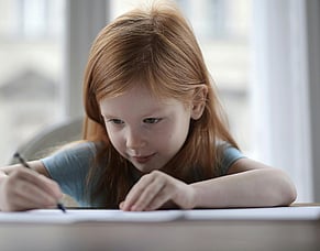 Learning through Visual Art: Sketching Chicks