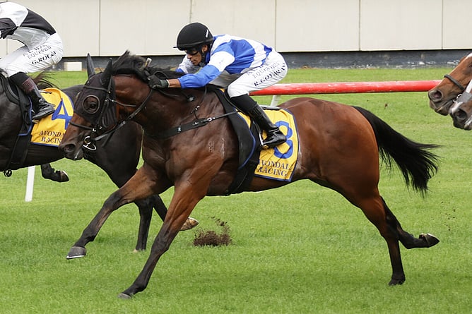 Van Damme winning at Avondale on Wednesday giving Pam Gerard her 300th training win. - Photo: Kenton Wright (Race Images)