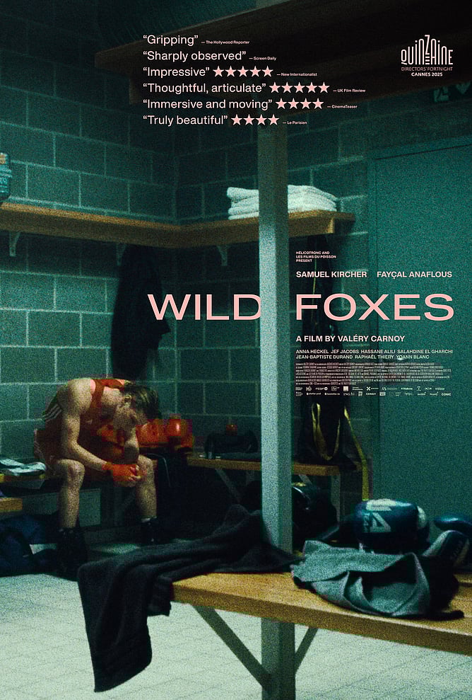 &lsquo;WILD FOXES&rsquo; &ndash; A Coming-Of-Age Boxing Drama About Friendship, Pain And Identity
