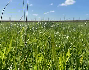 HubWatch - 10 April 2026