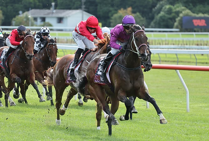 Platinum Attack winning the Listed City Of Napier Sprint (1200m). - Photo: Peter Rubery (Race Images)