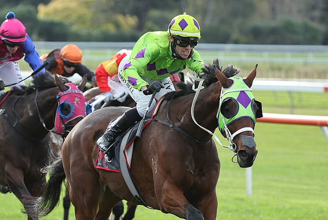 Crouch winning the Listed NZ Punter Of The Year @ HB Spring Carnival Hawke&rsquo;s Bay Cup (2200m).  - Photo: Peter Rubery (Race Images)