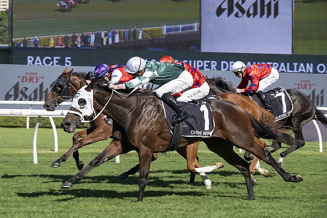 Ohope Wins produced a strong finish to land Saturday&rsquo;s A$1 million Gr.1 Asahi Super Dry Australian Oaks (2400m) at Randwick.  - Photo: bradleyphotos.com.au
