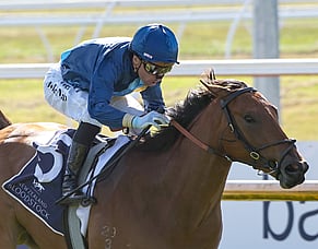 Enchantment adds to success of broodmare purchase