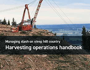 Managing Slash on Steep Hill Country