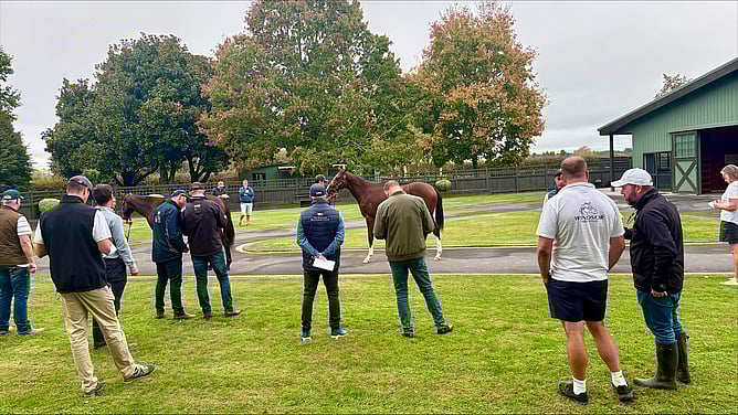 Bidding will close at 6pm (NZT) over on Gavelhouse Plus