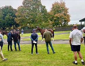 Bidding Closes Tonight for 2026 National Online Yearling Sale