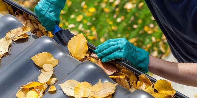 person with gloves cleaning out guttering