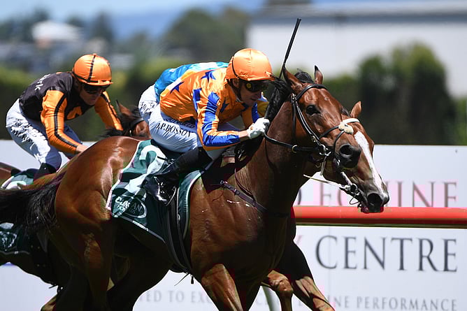 To Bravery Born will continue his racing career in Hong Kong. - Photo: Kenton Wright (Race Images)