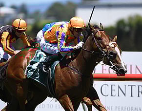 To Bravery Born Hong Kong bound