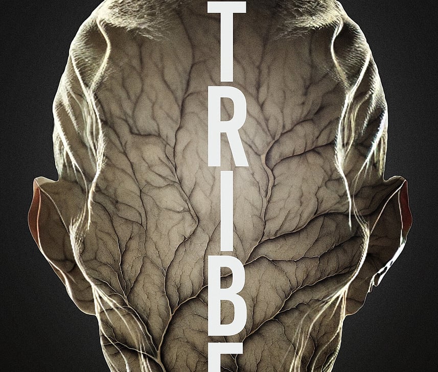 TRIBE Trailer