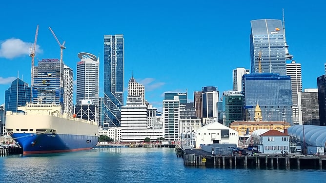 Commercial building inspection New Zealand - pre-acquisition technical due diligence survey by RICS-chartered building surveyor