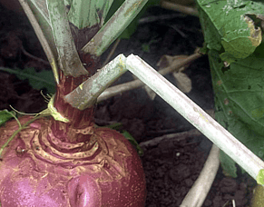 HubWatch - 17 April 2026