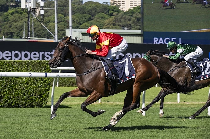Unique Ambition bounced back to winning form in the Midway Handicap (1400m) at Randwick. - Photo: Bradleyphotos.com.au