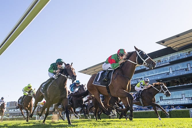 Asterix resumed a smart winner of the Gr.3 JRA Plate (2000m) for Chris Waller at Randwick on Saturday. - Photo: Bradleyphotos.com.au